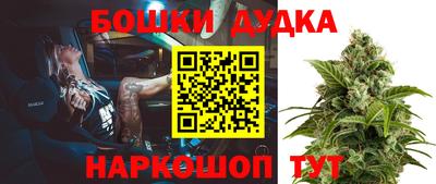 прущие крисы Донской