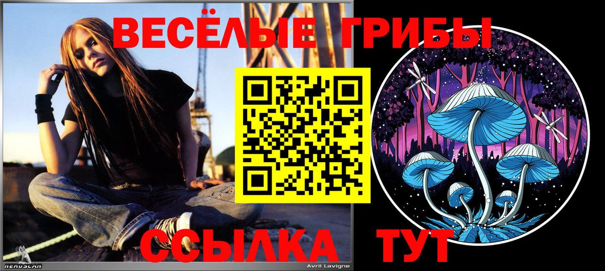 Псилоцибиновые грибы MAGIC MUSHROOMS Касимов