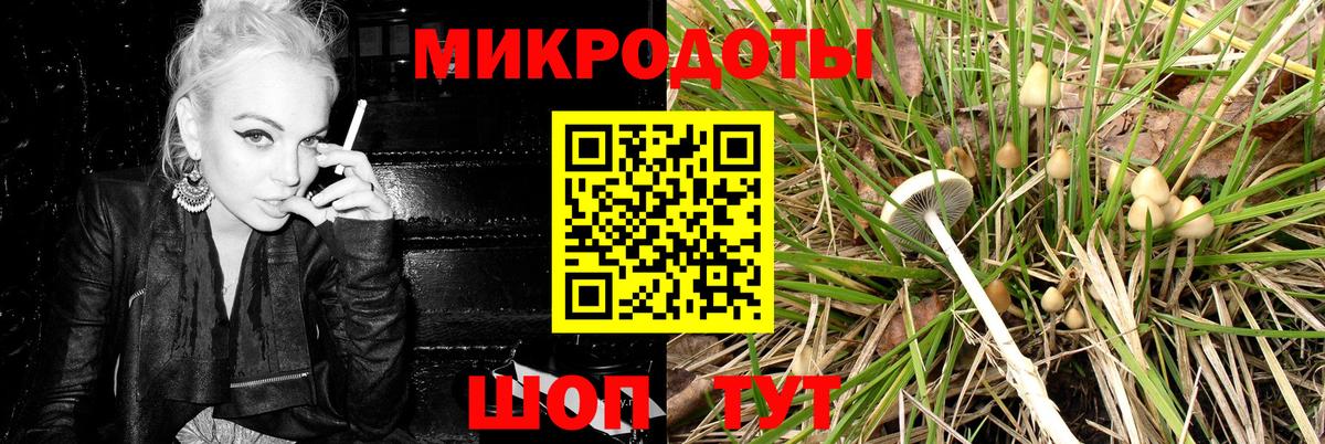 Касимов  Галлюциногенные грибы MAGIC MUSHROOMS  Вход с VPN 